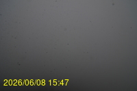 Img20260608_154739.jpg