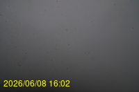 Img20260608_160239.jpg