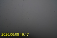 Img20260608_161739.jpg