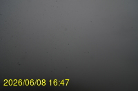 Img20260608_164739.jpg