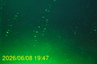 Img20260608_194740.jpg