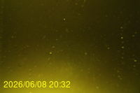 Img20260608_203240.jpg