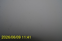 Img20260609_114120.jpg