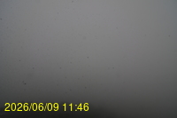 Img20260609_114620.jpg