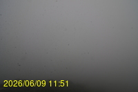 Img20260609_115120.jpg