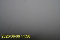 Img20260609_115620.jpg