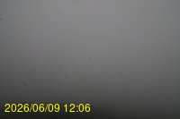 Img20260609_120620.jpg