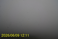 Img20260609_121120.jpg