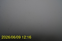 Img20260609_121620.jpg