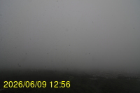 Img20260609_125620.jpg