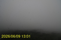 Img20260609_130120.jpg