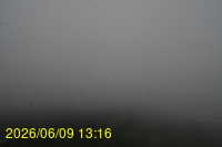 Img20260609_131620.jpg