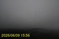 Img20260609_155621.jpg