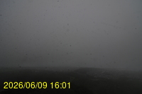 Img20260609_160121.jpg