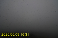 Img20260609_163121.jpg