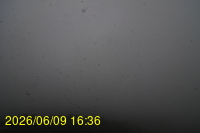 Img20260609_163621.jpg