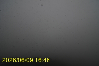 Img20260609_164621.jpg