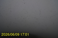 Img20260609_170121.jpg
