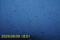 Img20260609_185121.jpg