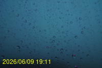 Img20260609_191121.jpg