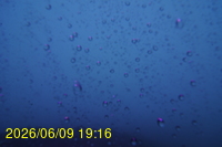 Img20260609_191621.jpg