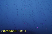 Img20260609_192121.jpg