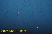 Img20260609_192621.jpg