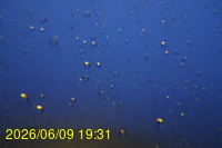 Img20260609_193121.jpg
