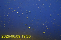 Img20260609_193621.jpg