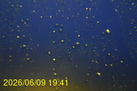 Img20260609_194121.jpg