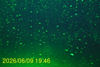 Img20260609_194621.jpg