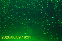 Img20260609_195121.jpg