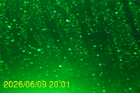 Img20260609_200121.jpg