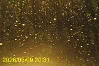 Img20260609_203122.jpg