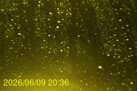 Img20260609_203622.jpg