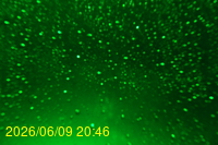 Img20260609_204622.jpg