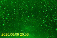 Img20260609_205622.jpg