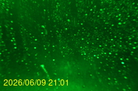 Img20260609_210122.jpg