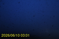 Img20260610_030123.jpg