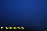 Img20260610_030623.jpg