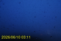 Img20260610_031123.jpg