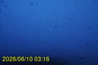 Img20260610_031623.jpg