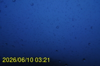 Img20260610_032123.jpg