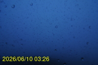 Img20260610_032623.jpg