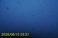 Img20260610_033123.jpg