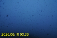 Img20260610_033623.jpg