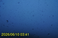 Img20260610_034123.jpg