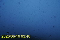 Img20260610_034623.jpg