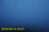 Img20260610_035123.jpg