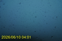 Img20260610_040123.jpg